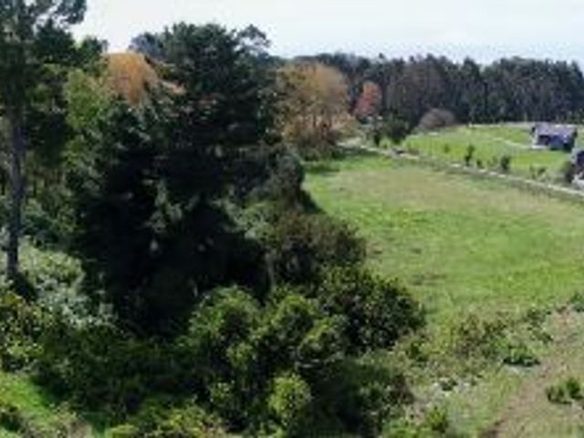 place photo 42