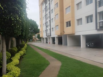 place photo 43