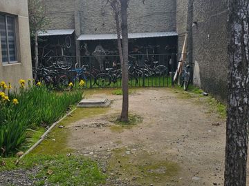 place photo 16