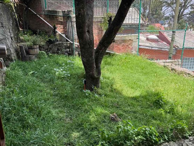 place photo 18