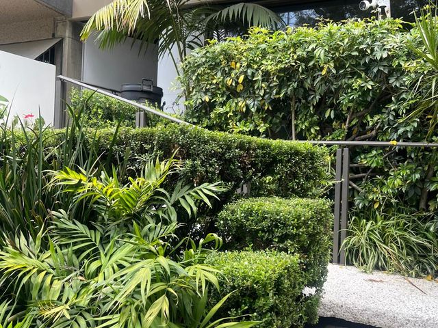 place photo 49