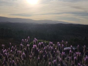place photo 48