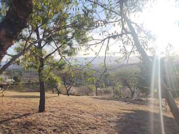 place photo 89