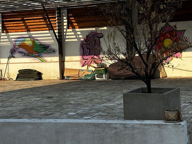 place photo 46
