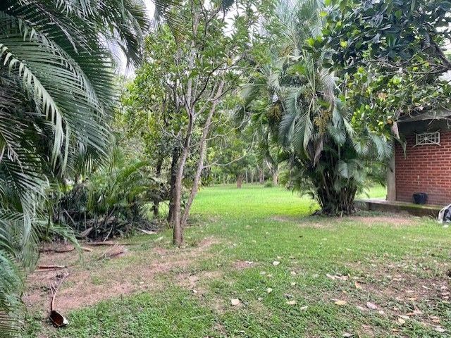 place photo 17