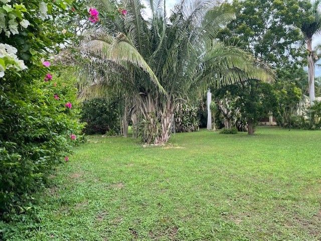 place photo 31