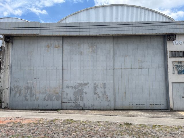 place photo 29