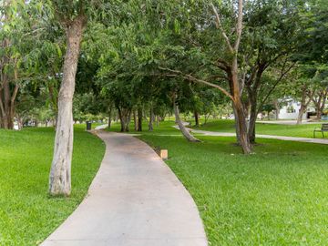 place photo 47