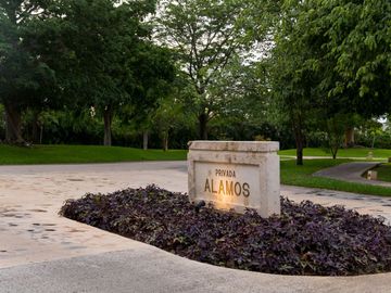 place photo 46