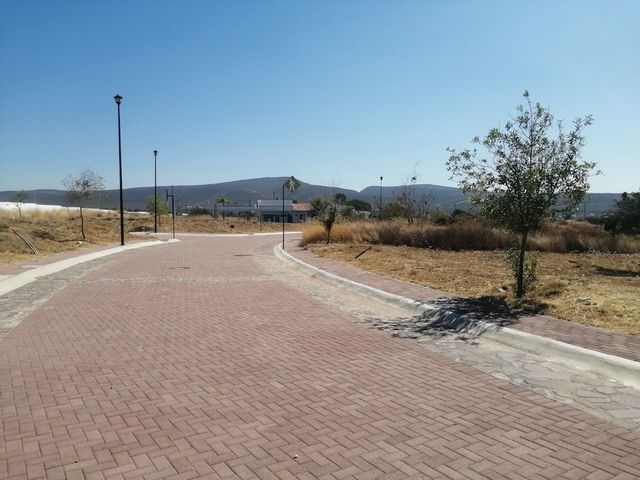 place photo 16