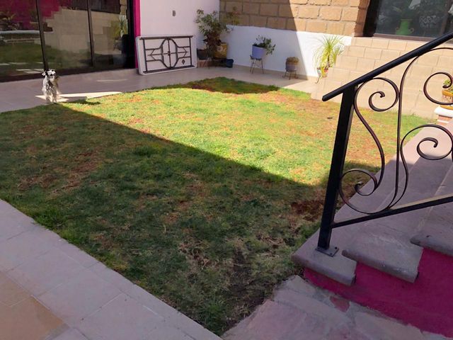 place photo 42