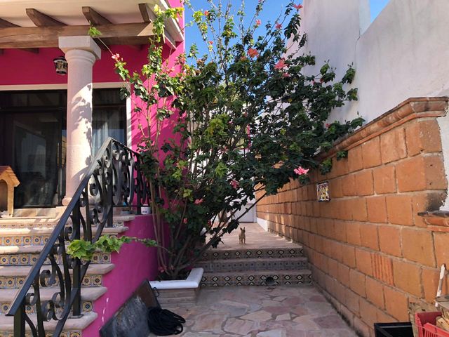 place photo 35