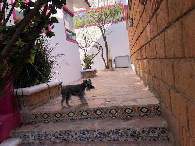 place photo 37