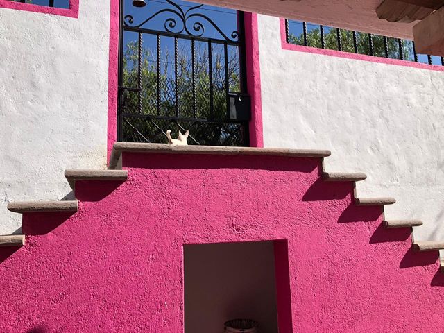 place photo 45