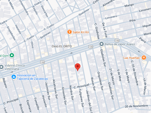 place photo 4