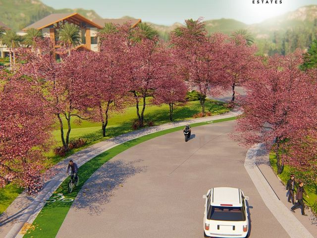 place photo 15