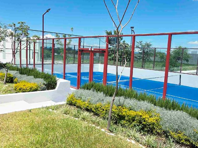 place photo 37
