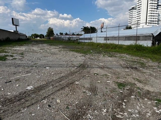 place photo 19