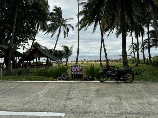 place photo 22