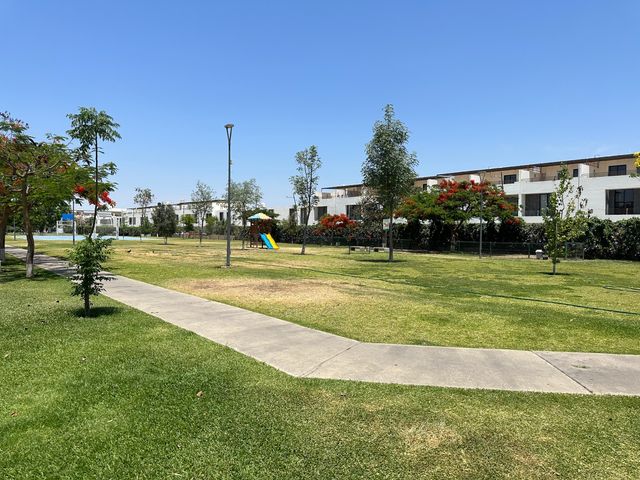 place photo 83