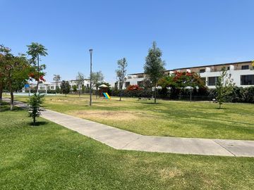 place photo 83