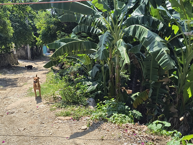 place photo 9
