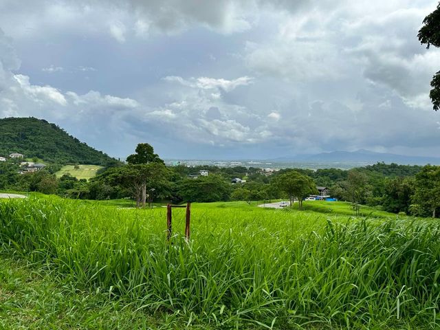 FOR SALE - Residential Corner Vacant Lot in Ayala Greenfield Estates, Calamba, Laguna