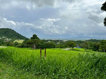 FOR SALE - Residential Corner Vacant Lot in Ayala Greenfield Estates, Calamba, Laguna