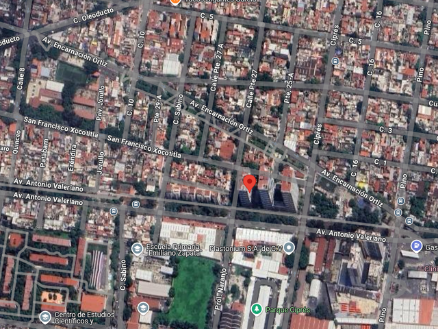 place photo 43