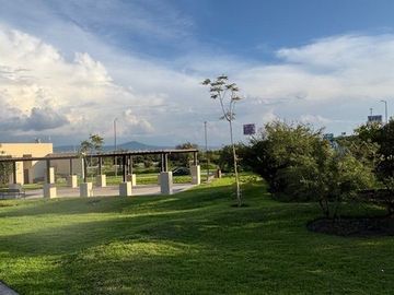 place photo 40