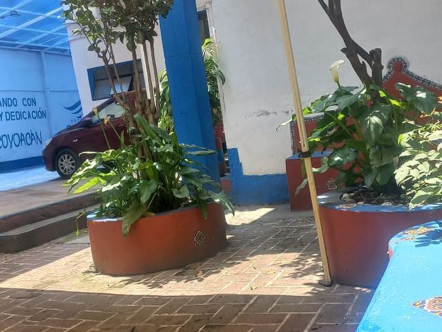 place photo 10