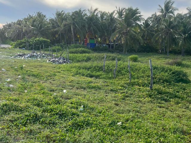 place photo 21