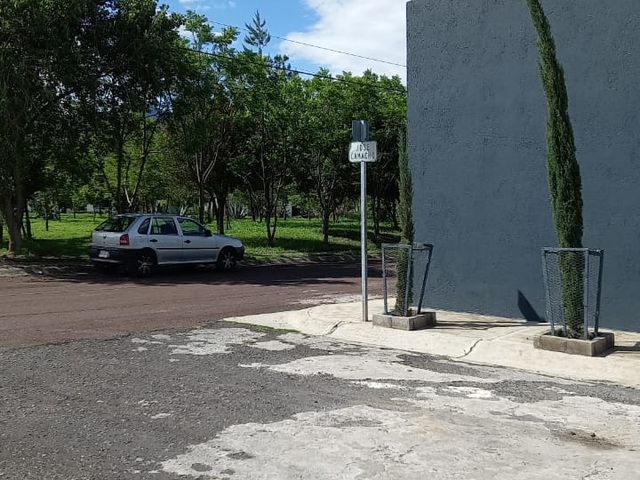 place photo 32