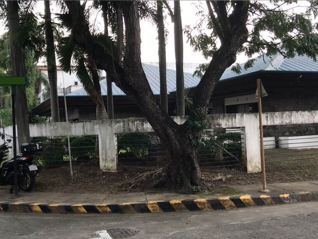 place photo 31