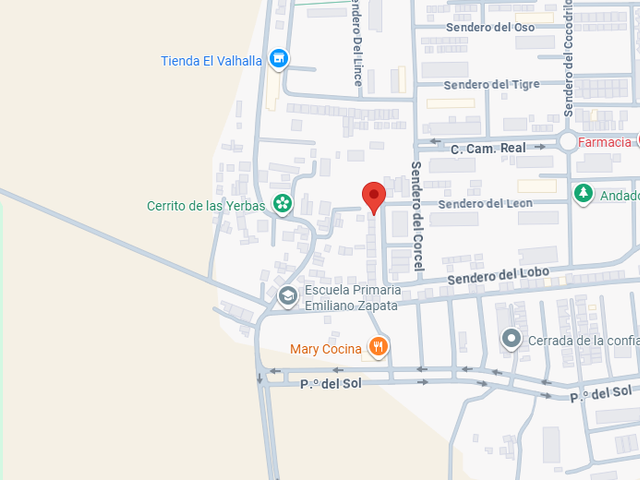 place photo 14