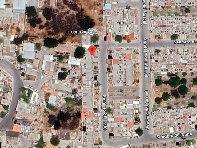 place photo 16