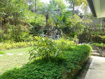 place photo 40