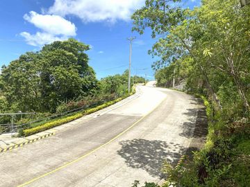place photo 45