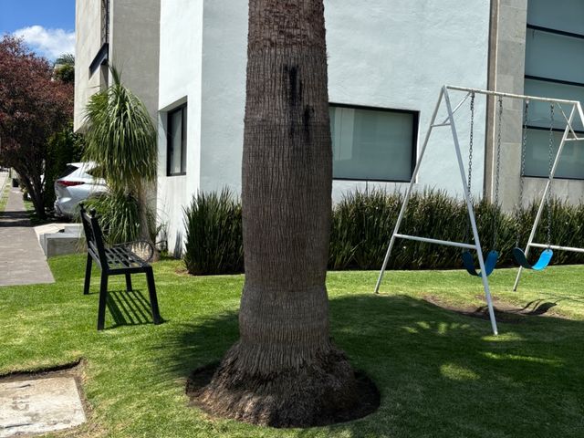place photo 37