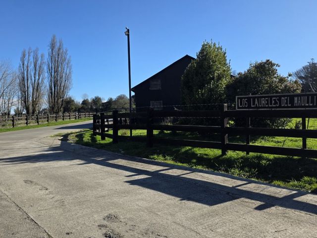 place photo 22