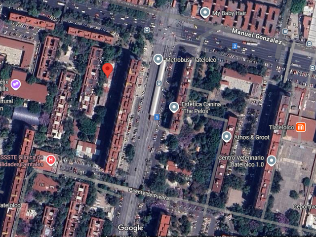 place photo 11