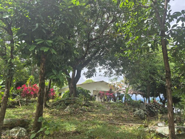 place photo 42