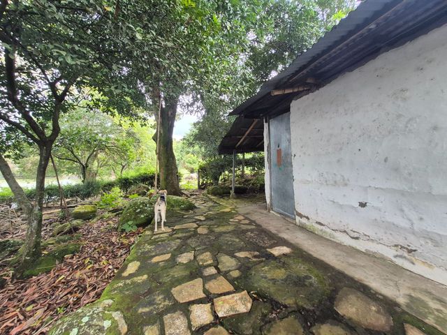 place photo 28
