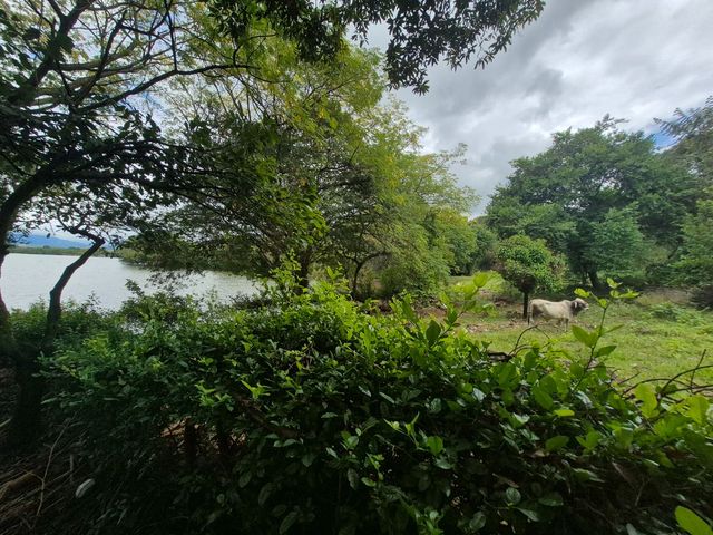 place photo 40