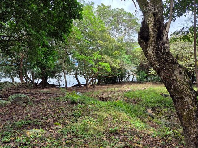 place photo 46