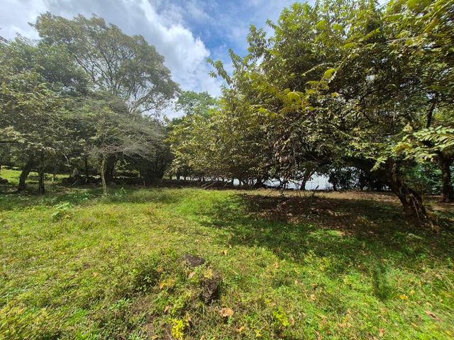 place photo 47