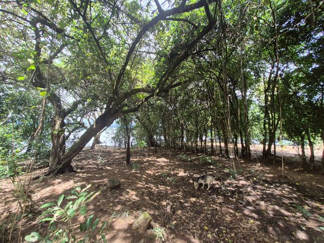 place photo 48