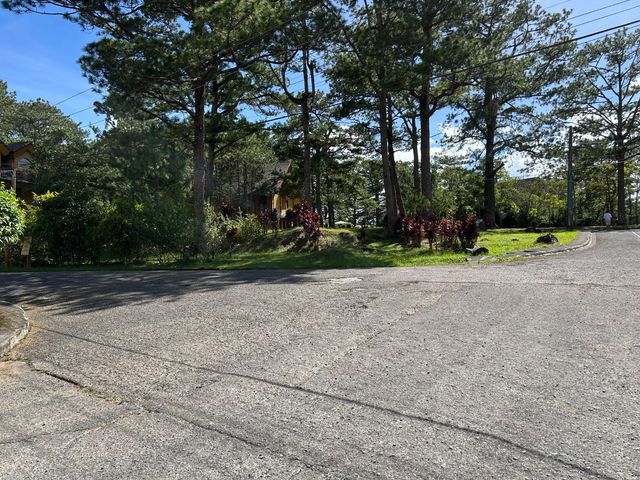 place photo 17