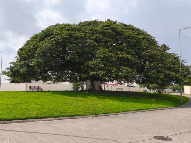 place photo 23