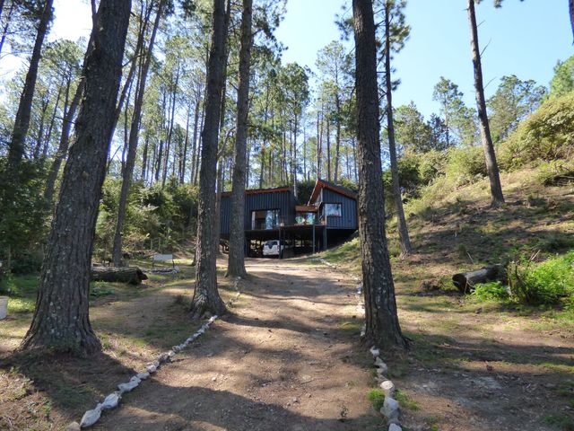 place photo 21